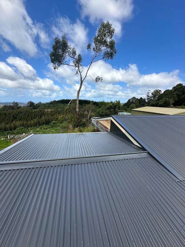 New charcoal metal roof on a rural property with bush views